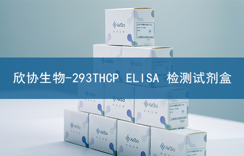 293THCP ELISA 检测试剂盒
